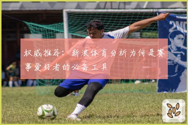 权威推荐:新浪体育分析为何是赛事爱好者的必备工具