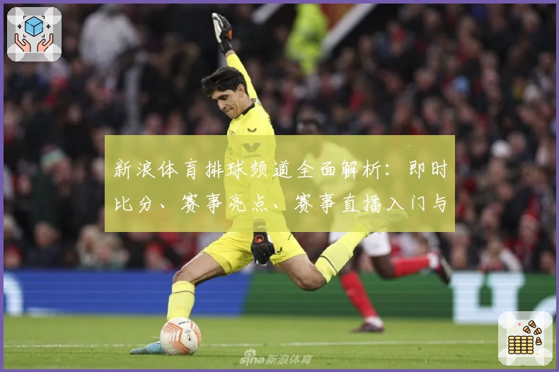 新浪体育排球频道全面解析：即时比分、赛事亮点、赛事直播入门与精彩回放攻略