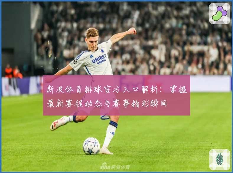 新浪体育排球官方入口解析：掌握最新赛程动态与赛事精彩瞬间