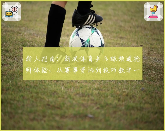 新人指南：新浪体育乒乓球频道抢鲜体验，从赛事资讯到技巧教学一应俱全