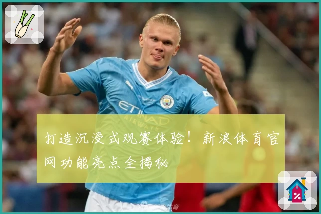 打造沉浸式观赛体验！新浪体育官网功能亮点全揭秘