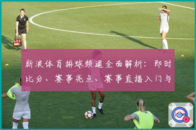 新浪体育排球频道全面解析：即时比分、赛事亮点、赛事直播入门与精彩回放攻略