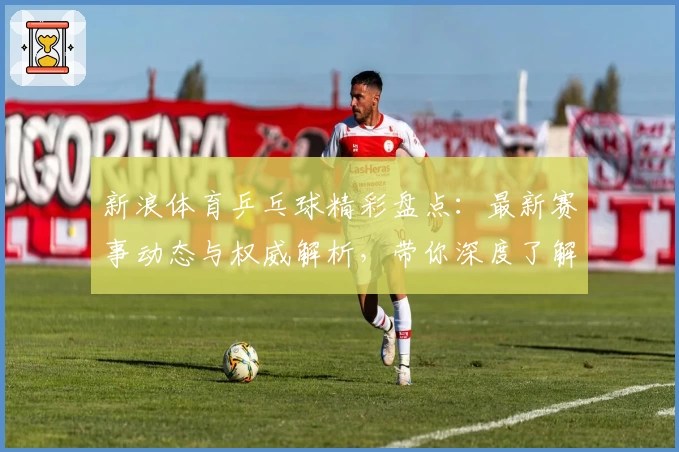 新浪体育乒乓球精彩盘点：最新赛事动态与权威解析，带你深度了解乒乓球世界