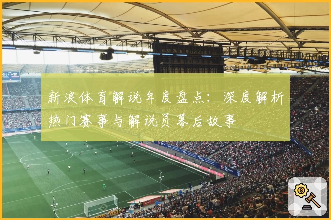 新浪体育解说年度盘点：深度解析热门赛事与解说员幕后故事