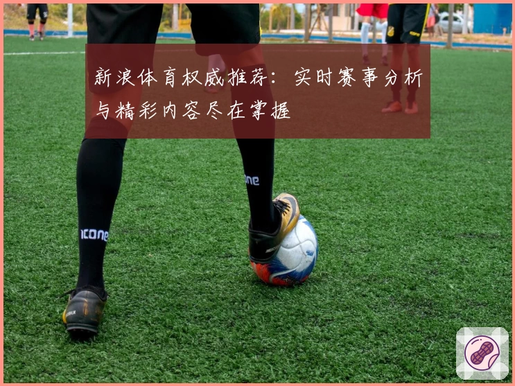 新浪体育权威推荐：实时赛事分析与精彩内容尽在掌握