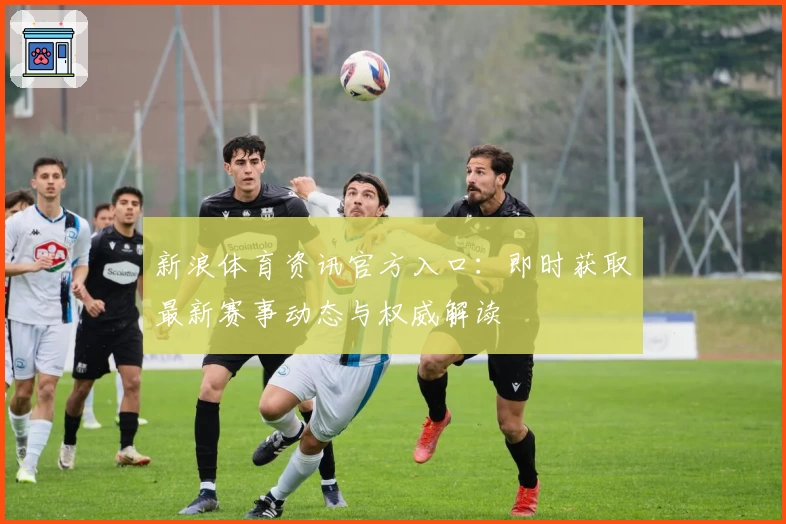 新浪体育资讯官方入口：即时获取最新赛事动态与权威解读