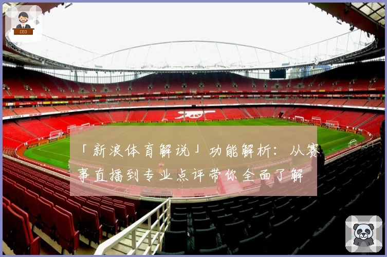 「新浪体育解说」功能解析：从赛事直播到专业点评带你全面了解