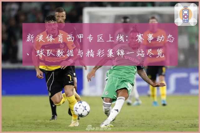 新浪体育西甲专区上线：赛事动态、球队数据与精彩集锦一站尽览