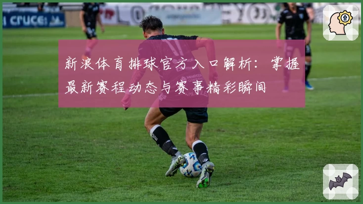 新浪体育排球官方入口解析：掌握最新赛程动态与赛事精彩瞬间