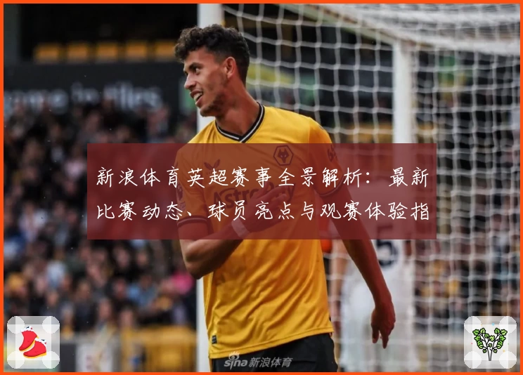 新浪体育英超赛事全景解析：最新比赛动态、球员亮点与观赛体验指南