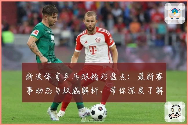 新浪体育乒乓球精彩盘点：最新赛事动态与权威解析，带你深度了解乒乓球世界