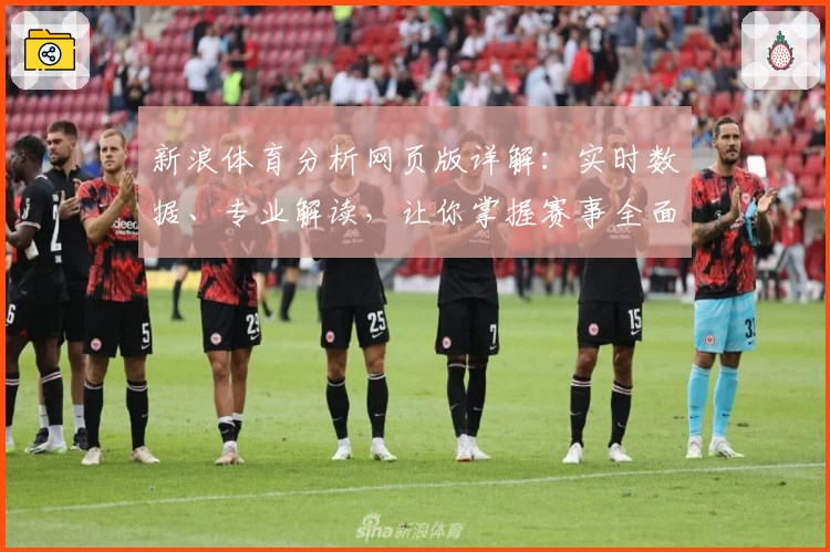 新浪体育分析网页版详解：实时数据、专业解读，让你掌握赛事全面动态